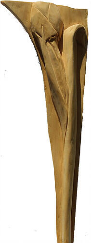 Tulip - Carver: Dennis Tormey