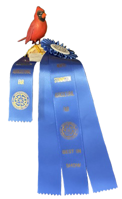 Best in Show 2026